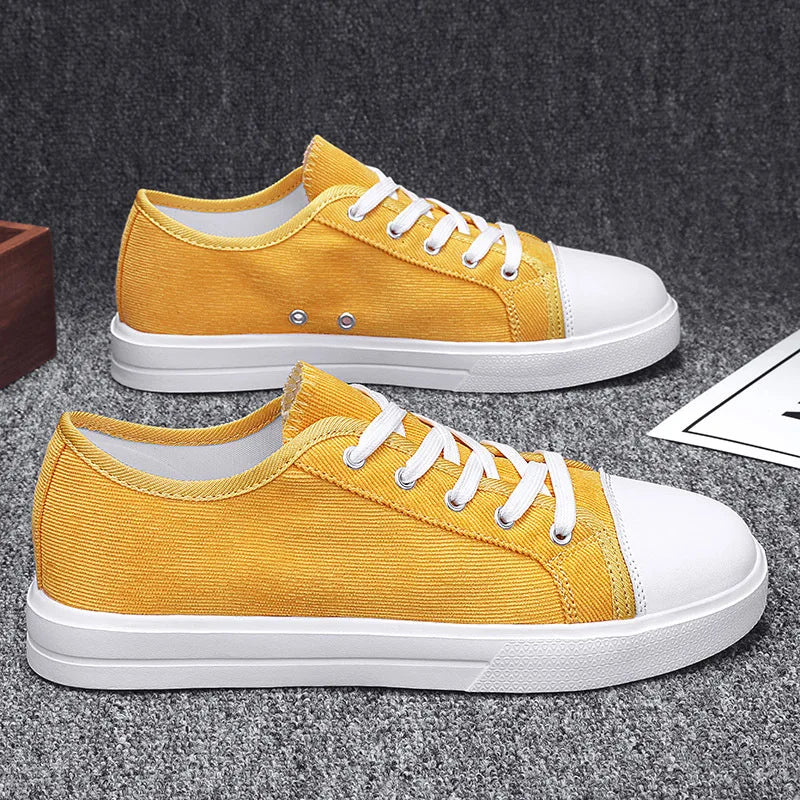 Men Canvas Sneakers Comfort Outdoor Walking Footwear Flat Casual skateboard Sports Shoes Skate Shoes Zapatos Hombe 2023