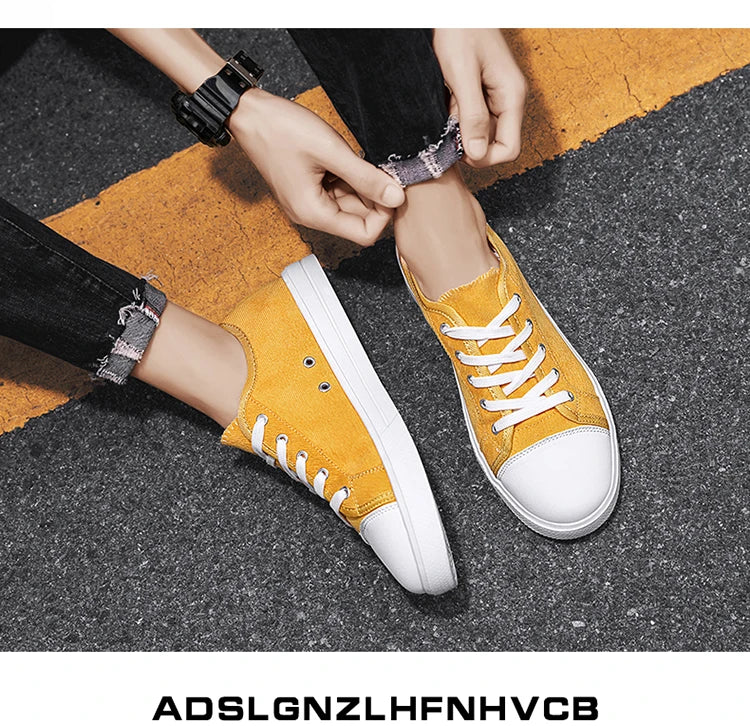 Men Canvas Sneakers Comfort Outdoor Walking Footwear Flat Casual skateboard Sports Shoes Skate Shoes Zapatos Hombe 2023