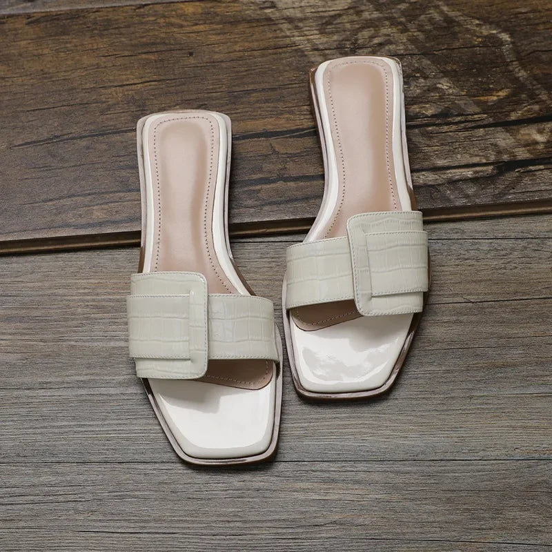 Flat with Summer Modern Slippers Outside Concise Ladies Shoes 2024 Hot Sale Solid Shallow Adult   Chinelos